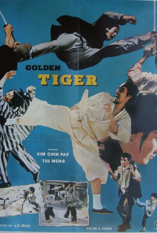 Poster 1 de Filme Tiger (1973)