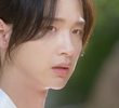 2회