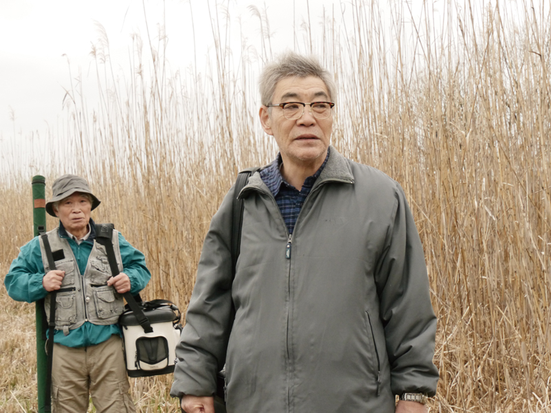 Foto 2 de Random Lives