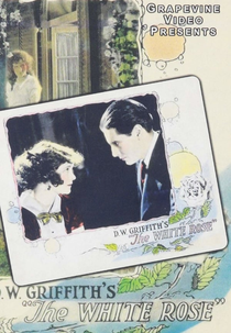 A Rosa Branca (The White Rose)