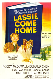 Lassie: A Força do Coração - Poster / Capa / Cartaz - Oficial 2