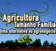 Agricultura Tamanho Família