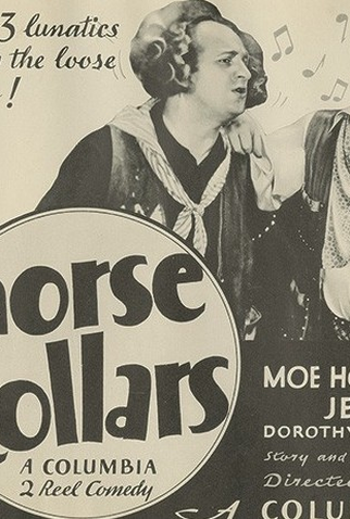 Poster 1 de Curta Um Cavalo e Três Cavalgaduras (1935)