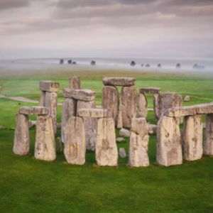 Foto de perfil de Neto Fernandes
