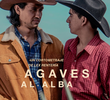 Agave Echoes