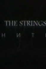 The Strings (Niti)