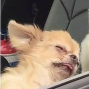 Foto de perfil de minzy