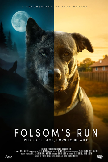 Poster de Curta Folsom's Run (2025)