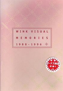 Wink Visual Memories 1988-1996 (Wink Visual Memories 1988-1996)