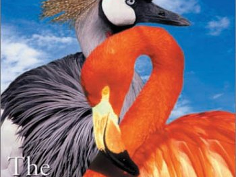 Foto 1 de BBC - A Vida dos Pássaros