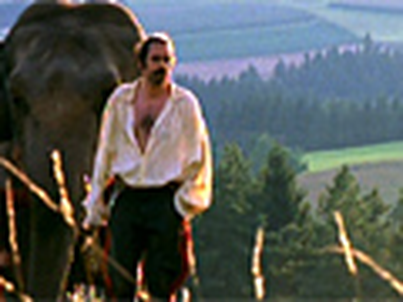 Foto 8 de Os Herdeiros