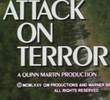 Ataque ao Terror