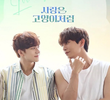 사랑은 고양이처럼