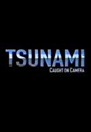 Tsunami Caught on Camera