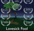 Lovesick Fool - Love in the Age of Like