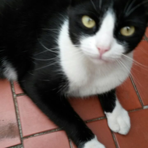 Foto de perfil de mlnsato