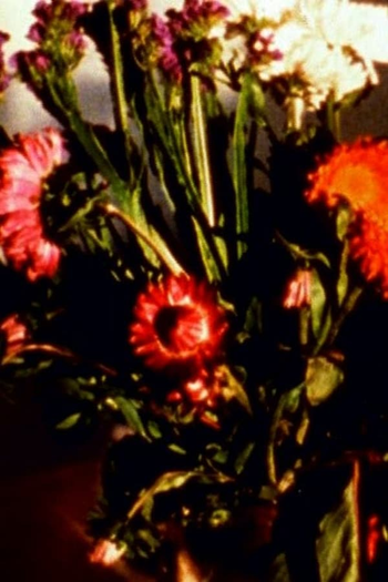 Poster de Curta Time Being I – IV (2007)