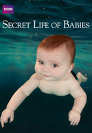 A Vida Secreta dos Bebês (Secret Life Of Babies)