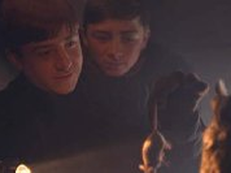 Foto 10 de The Witman Boys