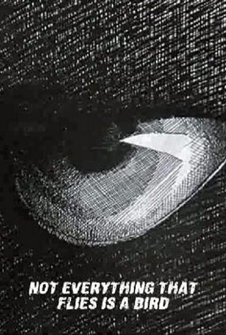 Poster 1 de Curta Not Everything That Flies Is a Bird (1970)