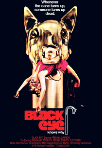 Na Mira do Investigador (Black Eye)