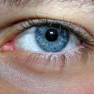 Foto de perfil de VDe Luca