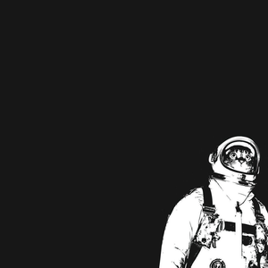 Foto de perfil de Felipe Benicio