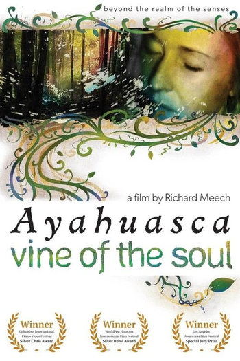  de Filme O Vinho das Almas (2010)