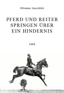 Pferd und Reiter Springen Über ein Hindernis (Pferd und Reiter Springen Über ein Hindernis)