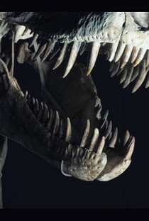 Dinossauros: A Caçada por Vida  - Poster / Capa / Cartaz - Oficial 1