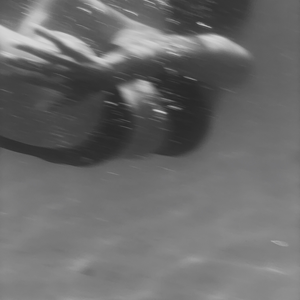 Foto de perfil de Ana Dora