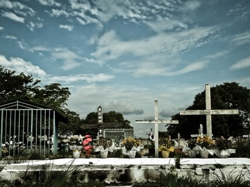 Foto 1 de Ameaçados