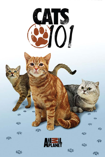 Poster de Franquia Cats 101 (2008)