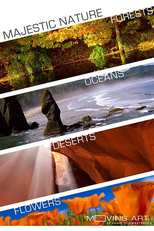 Moving Art (1° Temporada) (Moving Art (1 Season))