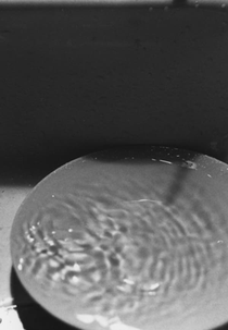 Dripping Water (Dripping Water)