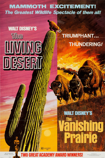  de Filme O Drama do Deserto (1953)