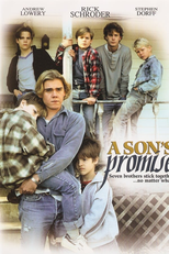 Laços de Família (A Son's Promise)