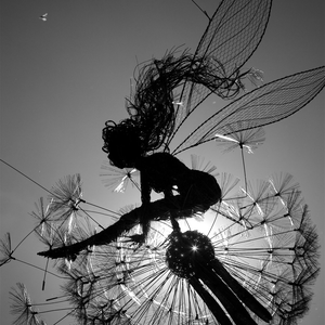 Foto de perfil de Lisbeth