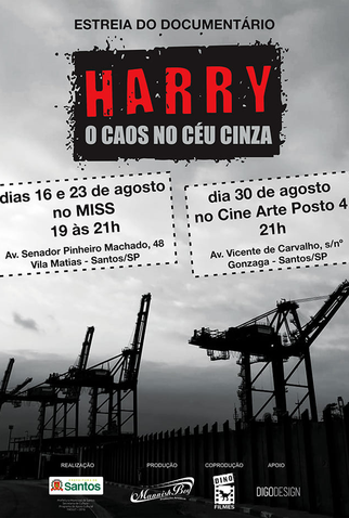 Poster 1 de Filme Harry: O Caos no Céu Cinza (2019)