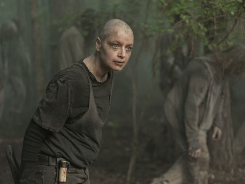 Foto 11 de The Walking Dead (10ª Temporada)