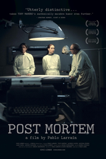 Pós Morte (Post Mortem)