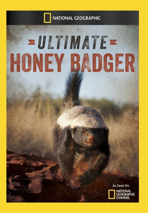 A Vida Secreta do Ratel (Ultimate Honey Badger)