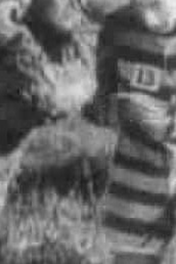 Poster de Curta O Hóspede  (1919)