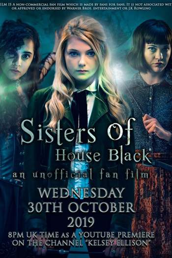 Poster de Filme Irmãs da Casa dos Black (2019)