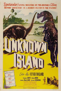 Unknown Island - Poster / Capa / Cartaz - Oficial 2
