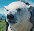 The Enchanted Sleeper