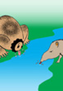 História de Beber Água (História de Beber Água)