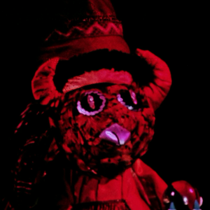 Foto de perfil de francisco