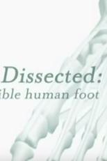 Dissecado: O Incrível Pé Humano ( Dissected: The Incredible Human Foot)