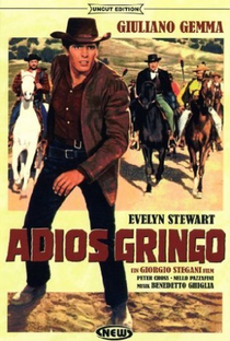 Adeus Gringo - Poster / Capa / Cartaz - Oficial 4